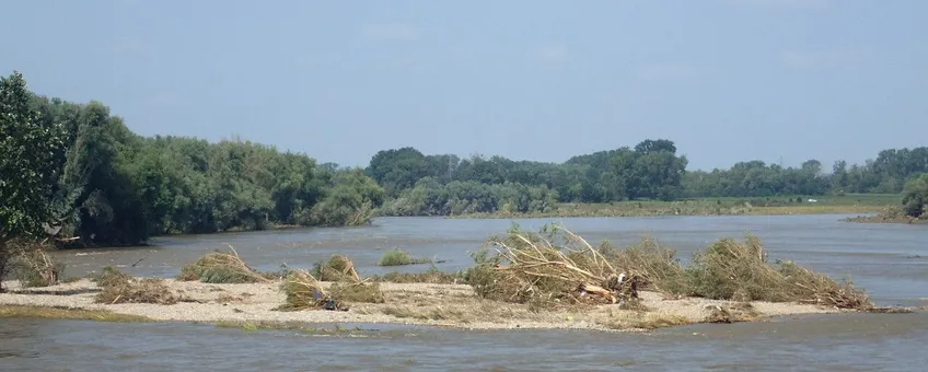 Grensmaas - bron: NatureToday.com