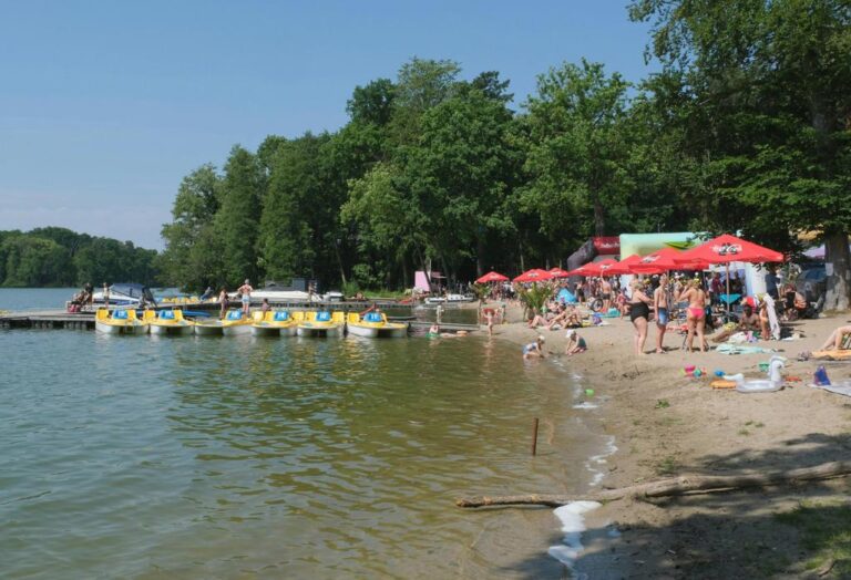 Foto door Roman Biernacki: https://www.pexels.com/nl-nl/foto/levendige-zomerdag-op-lakeside-beach-32759471/