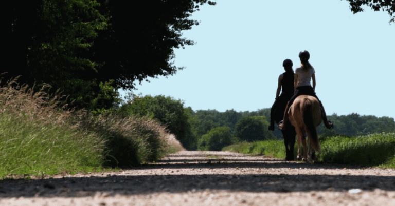 paardenkracht L1 recreatief rijden uitzending 31-8 en 14-9 &copy;PaardrijdenLimburg