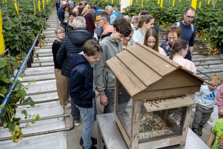 120.000 bezoekers tijdens Kom in de Kas 2026 - Bram Becks