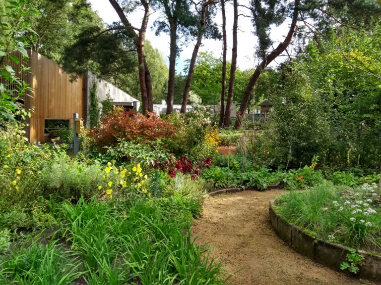 Meer aandacht voor welzijn bij NMC Weert