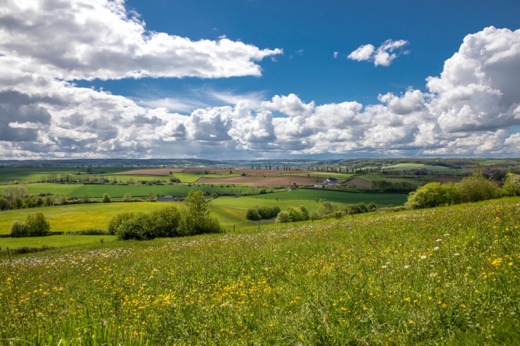 Het Limburgs Landschap lanceert het Limburgs Natuurfonds