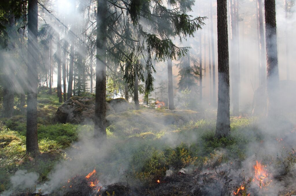 natuur brandgevaar