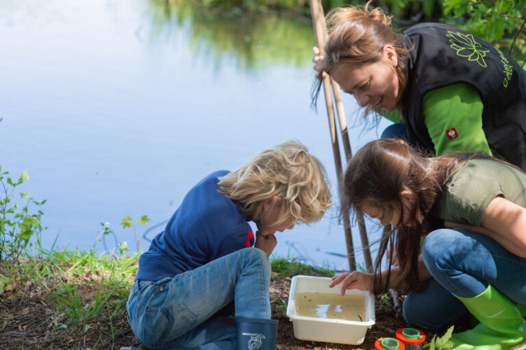 Nieuws Limburg Cursus ‘Jeugdnatuurbegeleider’ bij IVN regio Parkstad