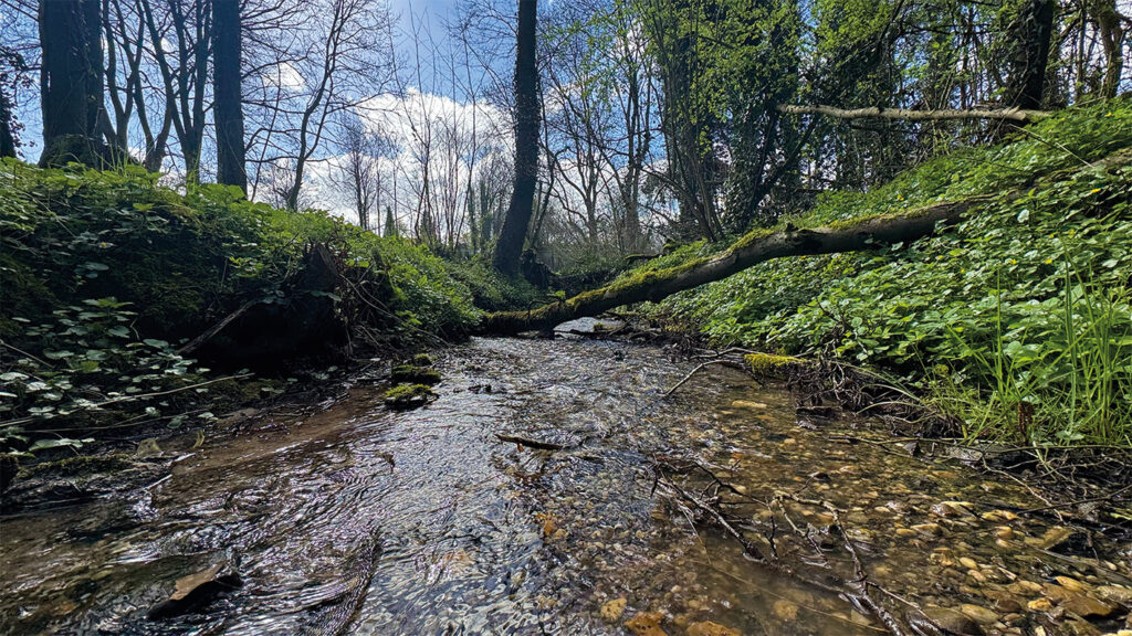 Natuurmonumenten grijpt in tegen verdroging van natuur Noorbeemden