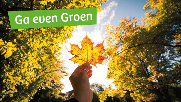 IVN daagt je uit om 21 dagen bewust de natuur te beleven - Ga even groen