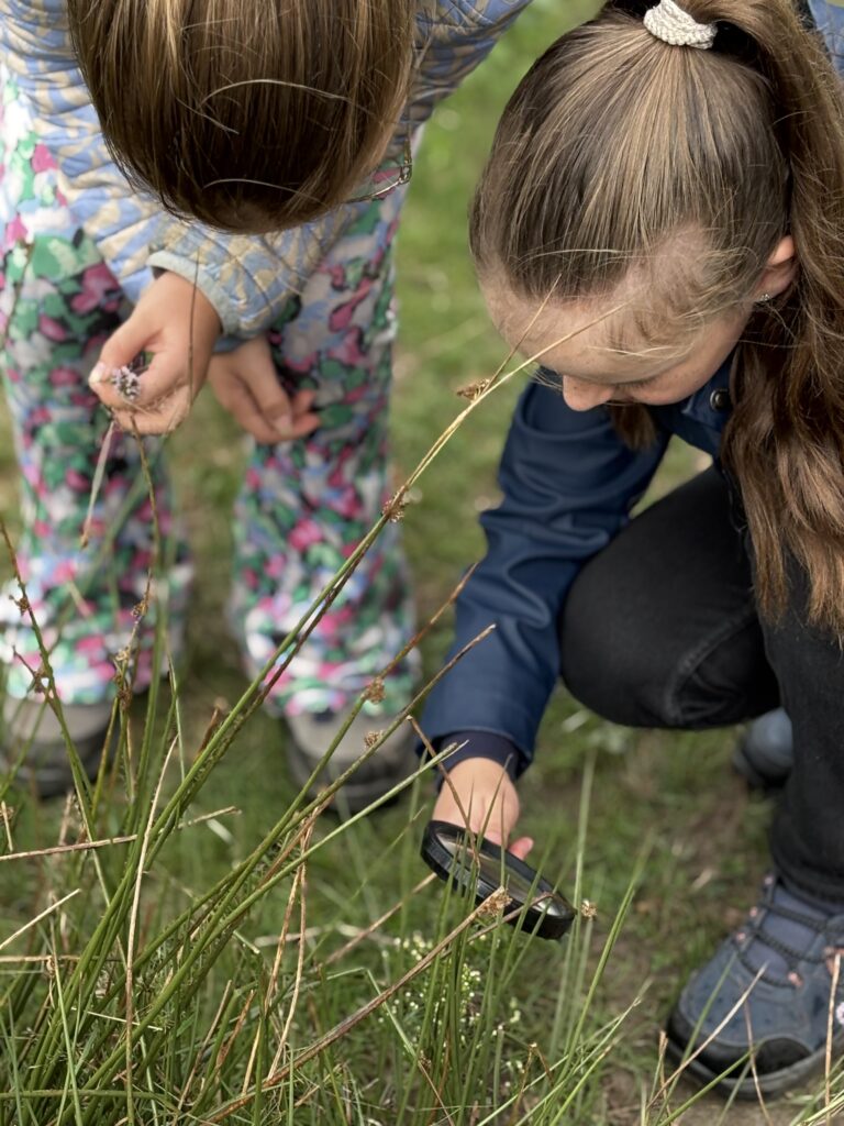 Op struintocht met de klas in het KempenBroek